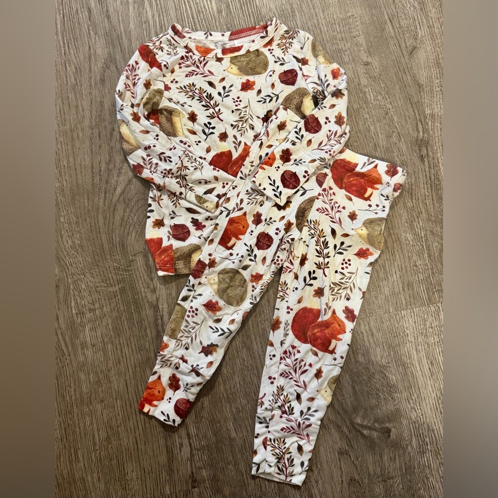 Posh Peanut Forest Pajama Set
